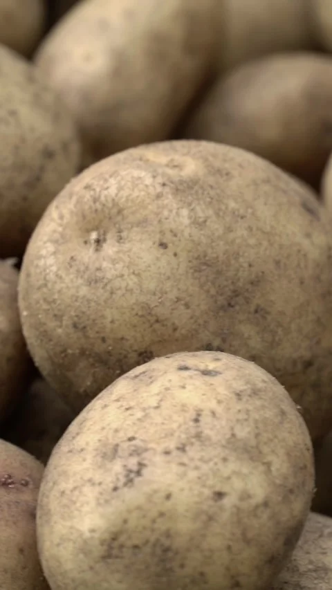 Close-up of fresh organic potatoes piled together showing natural rough skin Stock Footage 342296609