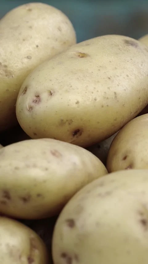 Close-up of fresh organic potatoes piled together showing natural rough skin Stock Footage 342296617