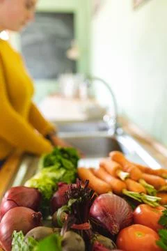 Close-up of fresh organic vegetable variations on kitchen counter with young 스톡 사진