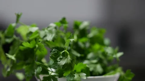 Close Up of Fresh Parsley Being Prepared in a Kitchen Stock Footage 341679003