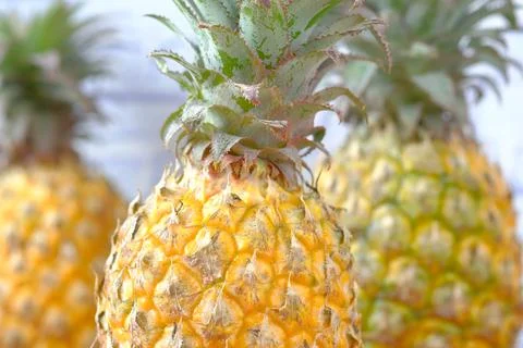 Close up of fresh Pineapple on table Stock Photos