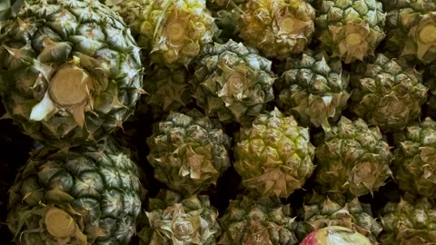 Close up of fresh pineapples displayed in fruit market stacked together. Food Stock Footage 284965732