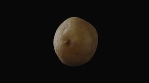 Close-up, fresh potatoes in turning motion on a black background Stock Footage 219744658