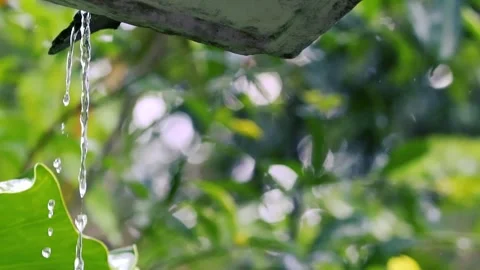Close-up of fresh rain water dripping from a roof edge in a green garden Stock Footage 332984579