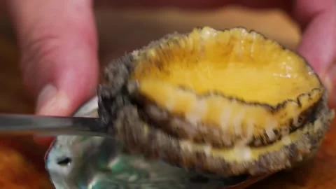 Close-up of Fresh Raw Abalone (Awabi) Shellfish Ready for Gourmet Preparation Stock Footage 333600495