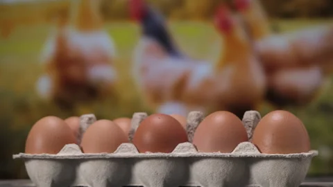Close Up fresh raw Chicken eggs in egg carton boxes. Stock Footage 259883004