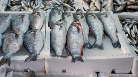 Close-up of fresh raw fish in ice on the counter in a fish market. Stock Footage 201070601