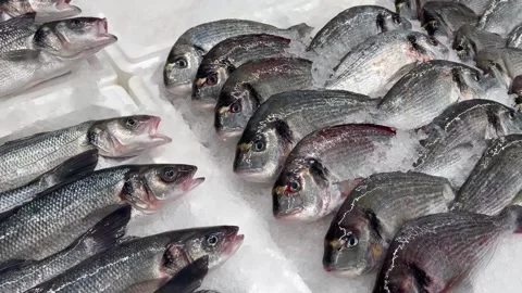 Close-up of fresh raw fish in ice on the counter in a grocery store. Stock Footage 236901018