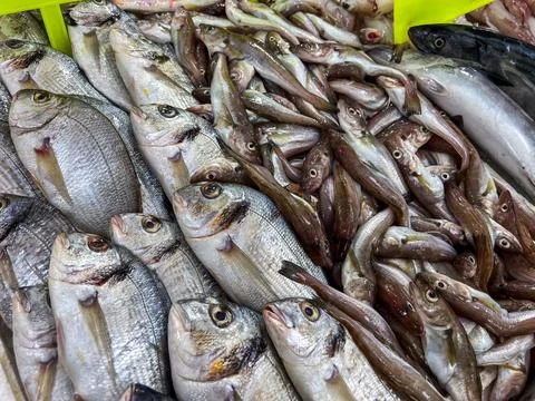 Close-up of fresh raw fish in ice on the counter at a fish market Stock Photos