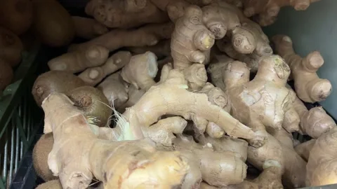 Close-up of Fresh Raw Ginger Roots on Market Shelf Stock Footage 326414573