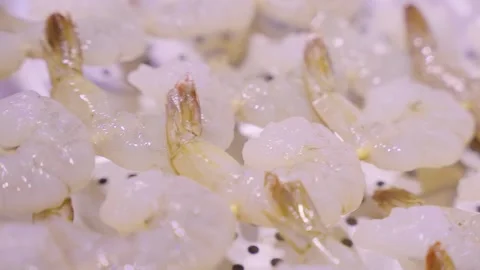 Close-up of Fresh Raw Peeled and Deveined Shrimp in a White Bowl Ready for Cooki Stock Footage 337440421