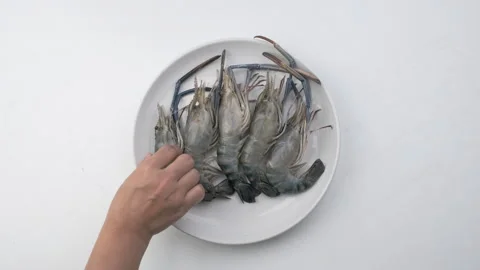 Close up of fresh raw prawns or shrimps in white plate for cooking. Stock Footage 242964895