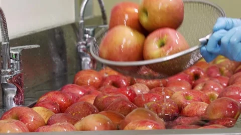 Close-up of Fresh Red Apples Being Washed in Water Tank for Dessert Preparation Stock Footage 337751320