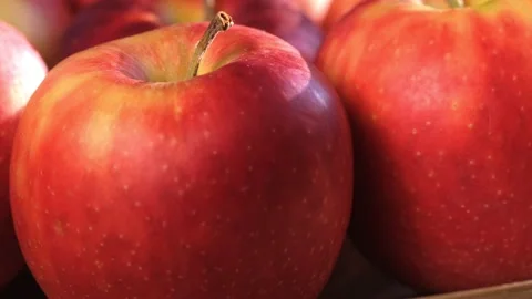Close up of fresh red apples in the rotate basket Stock Footage 167444054