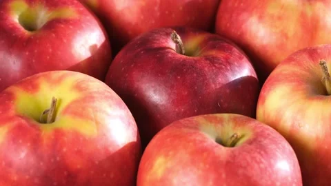 Close up of fresh red apples in the rotate basket Stock Footage 167794840