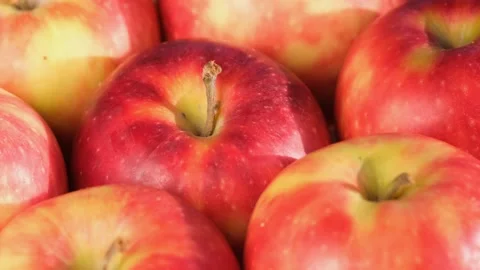 Close up of fresh red apples in the rotate basket Stock Footage 167794932