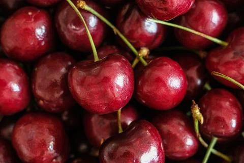 Close-up of fresh red cherries Stock Photos