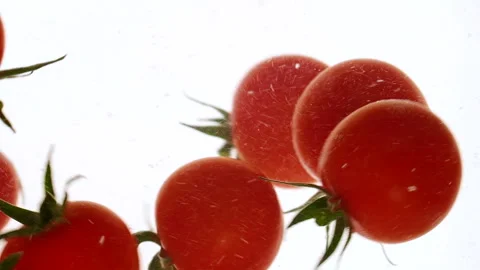 Close-up fresh red cherry tomatoes moving and splashing in water in slow motion Stock Footage 320763954