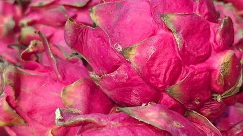 Close Up of Fresh Red Dragon Fruit (Pitaya) Texture and Skin Stock Footage 332549468