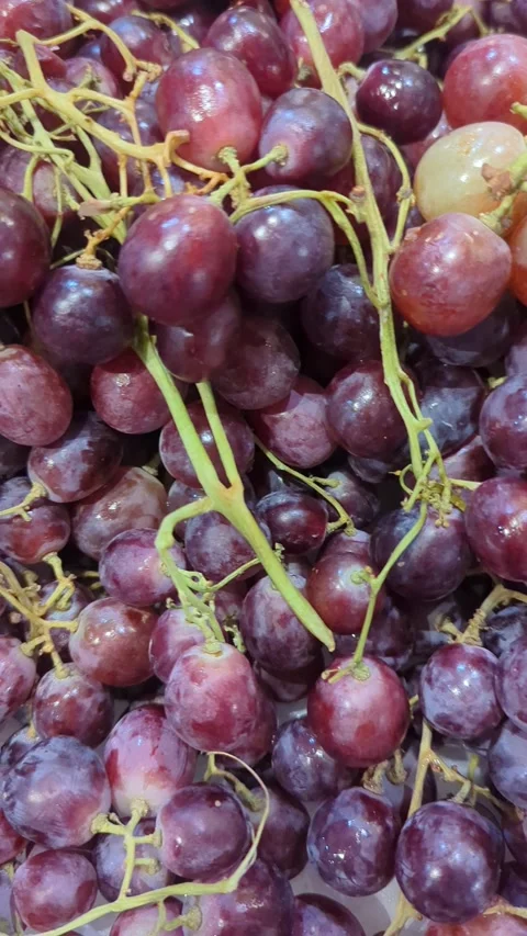 Close-up of Fresh Red Grapes in Slow Motion, Juicy Organic Fruit Background Stock Footage 328714127