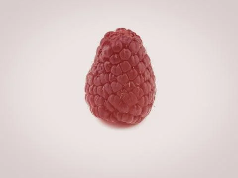 Close-up of a fresh red raspberry on white background Stock Photos