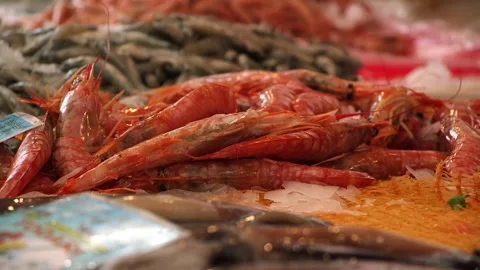 Close-Up of Fresh Red Shrimp at Palermo Street Market Stock Footage 346637486