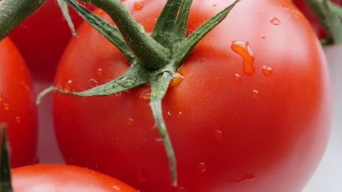 Close up of fresh red tomatoes on white background Stock Footage 133604972