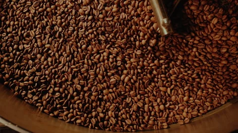 Close-up fresh roasted coffee beans production. Hot coffee beans mixing around Stock Footage 267462251