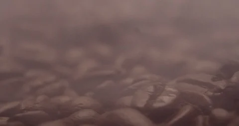 Close-up of fresh roasted dark brown espresso coffee beans Stock Footage 121062987