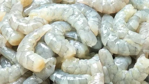Close-up of fresh sea shrimp Video stock 322719631
