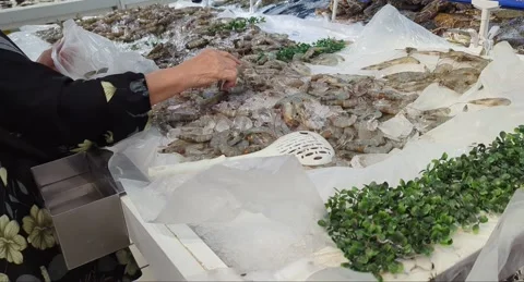Close-up of Fresh Seafood Display at Local Fish Market Stock Footage 327770538
