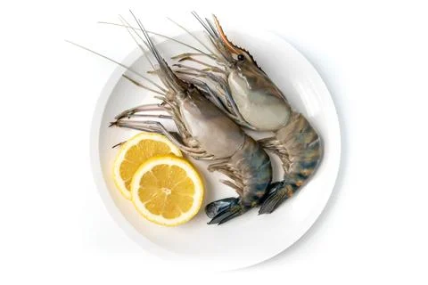 Close up Fresh shrimp and long arm isolated on white background. The giant ri Stock Photos