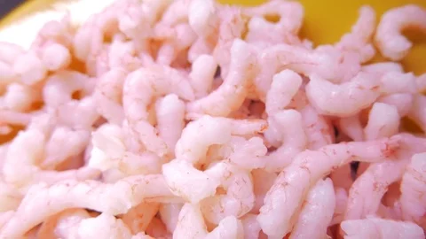 Close up of fresh shrimps. 4K UHD Stock Footage