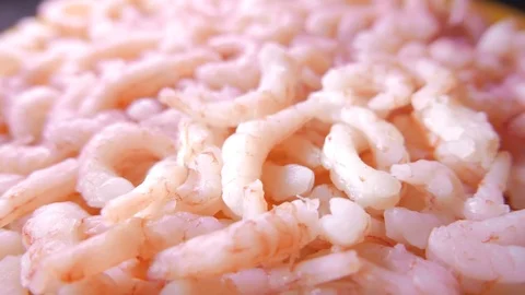 Close up of fresh shrimps. 4K UHD 库存影片 73194776