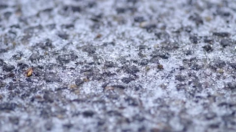 Close up of fresh snow falling on the roadway Stock Footage 45544494