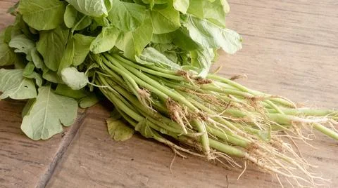 Close up of fresh spinach on brown ceramic Foto stock