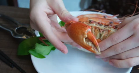 Close up fresh steamed cooked jumbo giant mud crab with spicy sauce on white 스톡 동영상 277303052