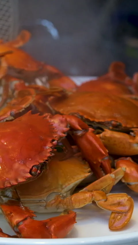 Close up fresh steamed cooked jumbo giant mud crab with spicy sauce on white Stock Footage 277303116