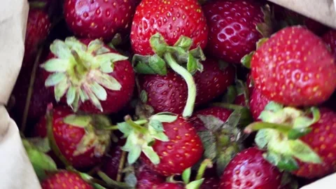 Close-up fresh strawberries are rotating Video stock 248615964