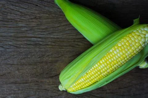 Close up fresh sweet corn cobs with leaves on wood table background. Stock Photos