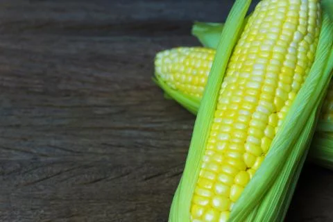 Close up fresh sweet corn cobs with leaves on wood table background. Stock Photos