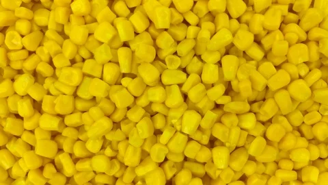 Close up of fresh sweet corn kernals rotating Stock Footage 97855722