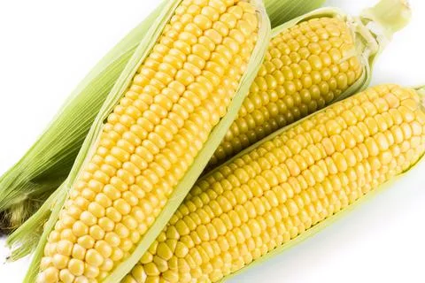 Close-up of fresh sweet corn Stock Photos