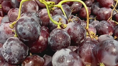 Close up of fresh sweet red globe grapes on the supermarket. Video stock 278500973
