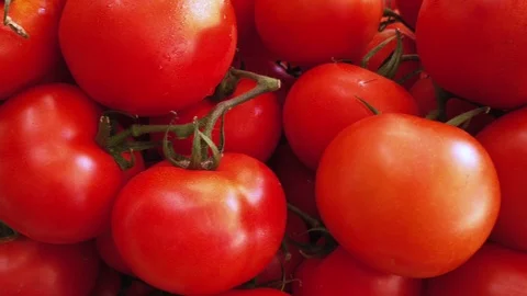 Close up of fresh tomatoes Stock Footage 114806275