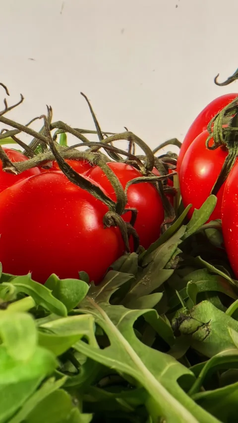 Close-Up of Fresh Tomatoes on Vine with Green Arugula Leaves Indoors Stock Footage 336237782