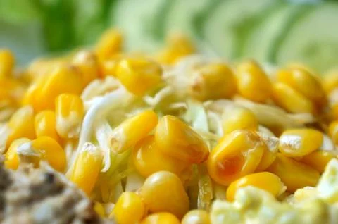 Close up of fresh vegetable salad with corn Stock Photos