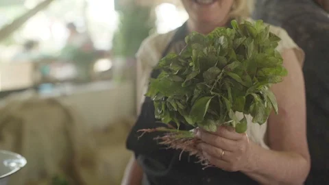Close Up on Fresh Vegetables Stock Footage 105725483