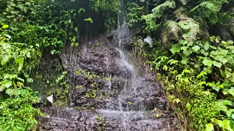 Close up of Fresh Water Cascading Down Volcanic Rock Wall in Tropical Forest 스톡 동영상 333984252