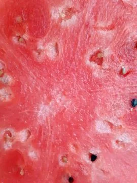 Close-up of Fresh Watermelon Slice Texture. Red flesh with seeds. Stock Photos
